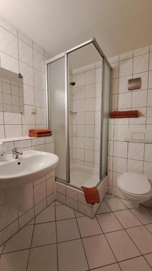 Appartement Ferienobjekt Beim Steinmetzen à Radebeul Extérieur photo